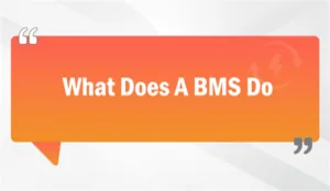 What Does A BMS Do