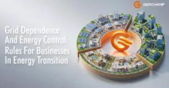Grid dependence and energy control: rules for businesses in energy transition